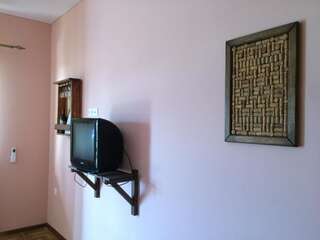 Гостевой дом Guest house Abkhazia in Gagra Гагра Двухместный номер с 1 кроватью и собственной ванной комнатой-20